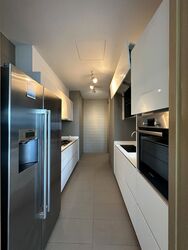 Skyline Residences (D4), Condominium #501722161